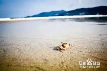 职场：宁愿装傻, 切莫聪明