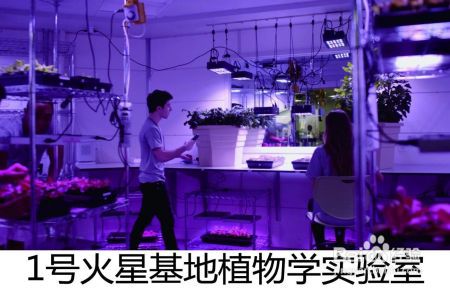 怎样过一把当宇航员的瘾？