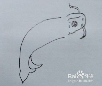 鱼的画法教程 13 怎么画 如何画鱼 画鱼方法 百度经验