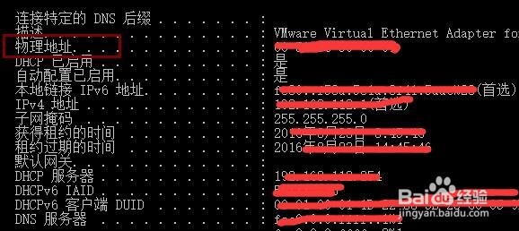 怎么查看电脑和手机的MAC地址