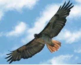 如何维持长期关系