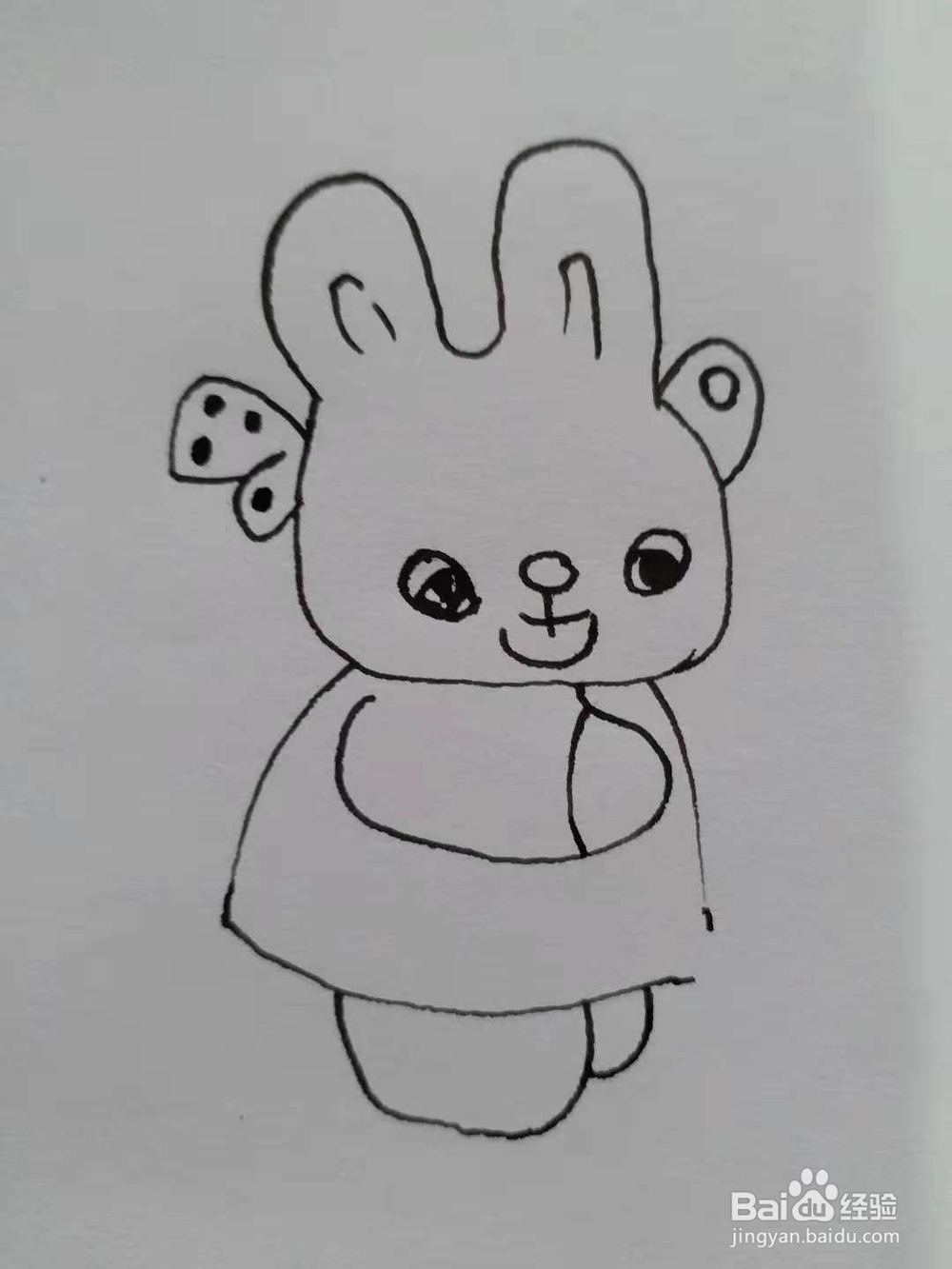卡通兔的简笔画法《五》