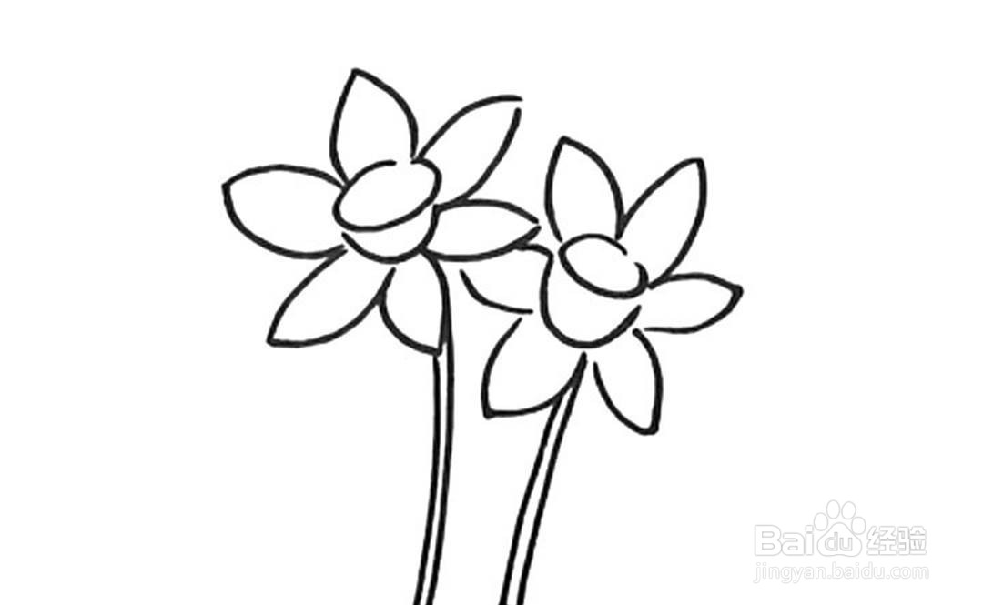 如何画水仙花的卡通简笔画教程