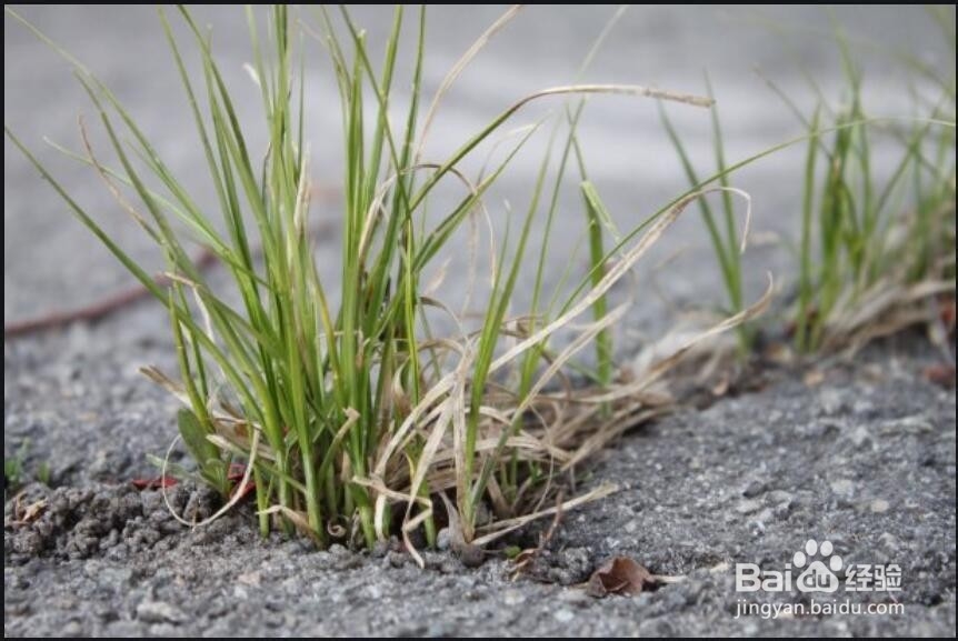 如何让自己充满斗志