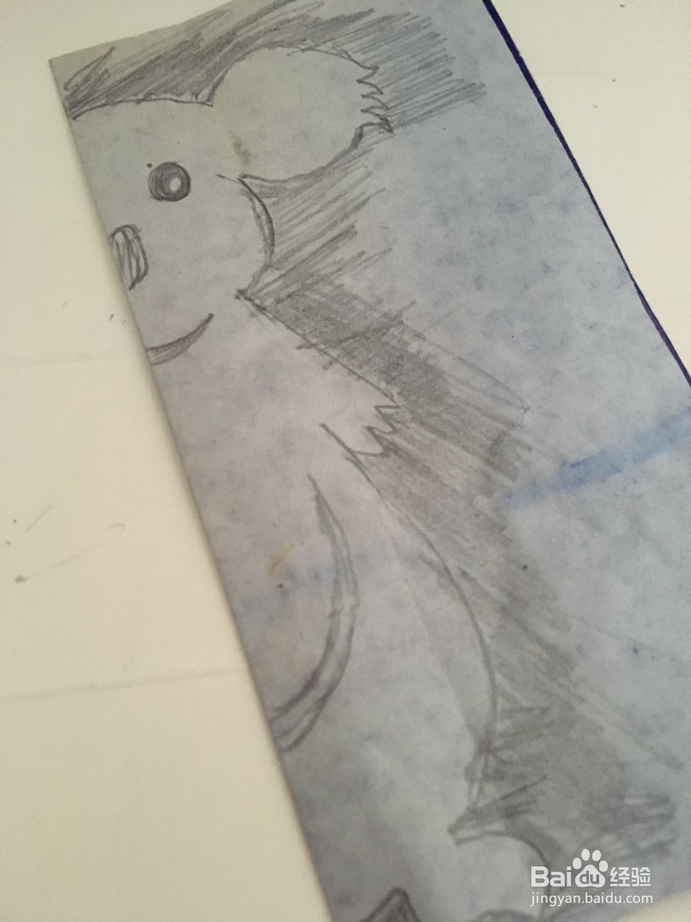 一只呆萌憨厚的树袋熊 怎样用彩纸裁剪