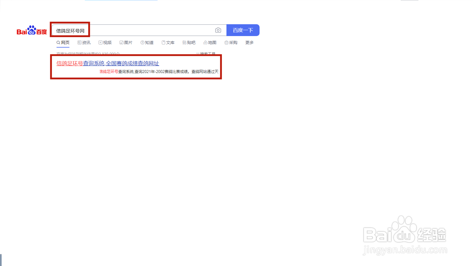 鸽子号码查询信息流程