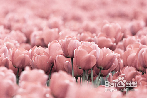 10个故事，提升人生价值！给你的头脑净化一下！