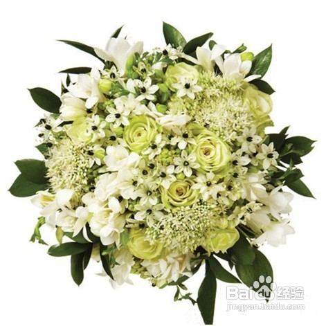 春夏季婚礼常用鲜花花语有哪些？