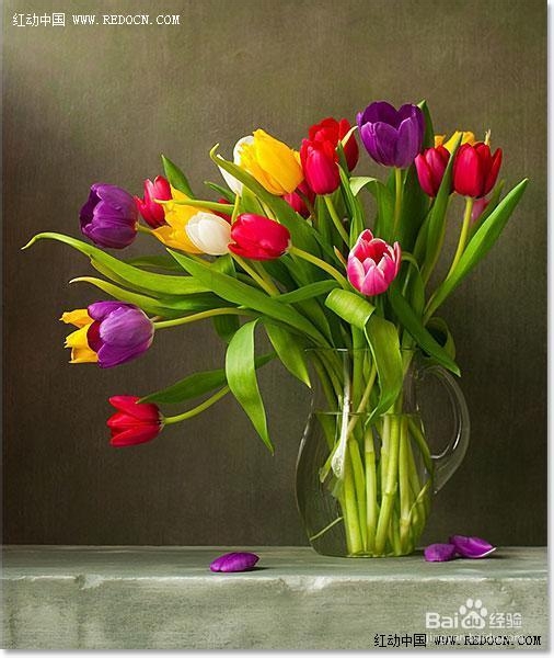 利用PS滤镜及图层混合把图片转为水彩画效果教程