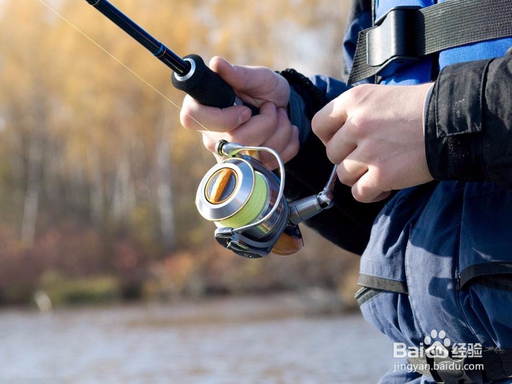 如何钓肉食性鱼类