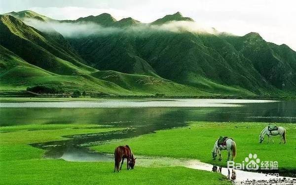 中国6大草原，这个夏天最值得一去！