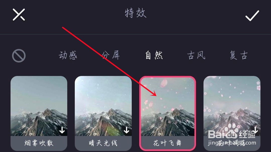 飘花瓣特效怎么弄
