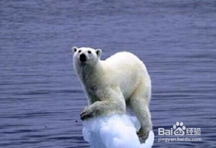 全球持续升温我们怎么办?