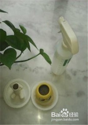 怎样种植小草盆景