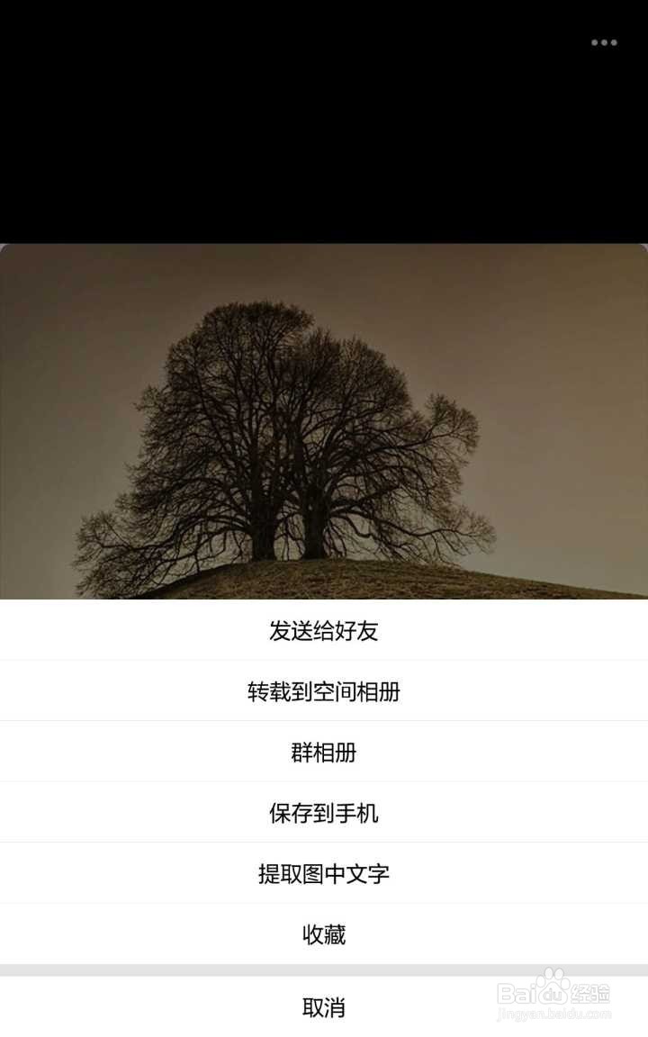 QQ如何提取图片上的文字