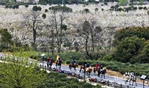 上海到苏州树山旅游攻略