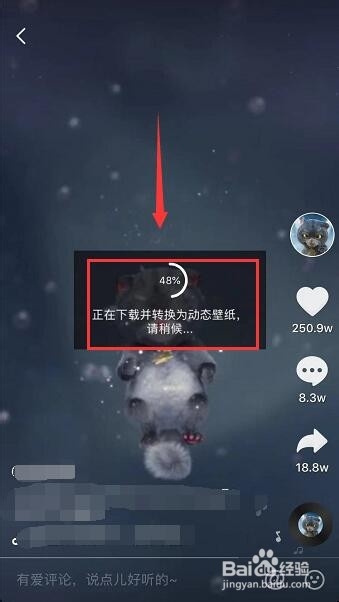 抖音下载的动态壁纸保存在哪里