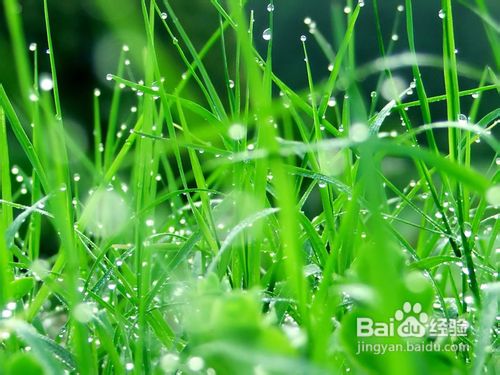 中医执业医师针灸穴位定位记忆有哪些秘诀