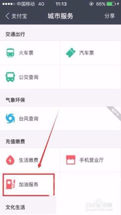 支付宝怎么充值中石化油卡