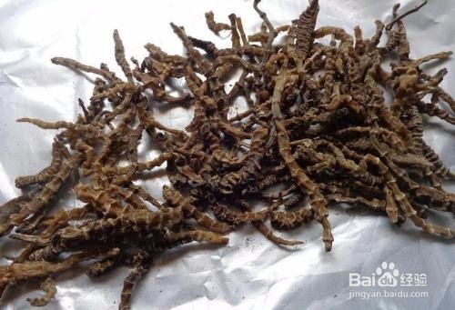 虫草参怎么吃