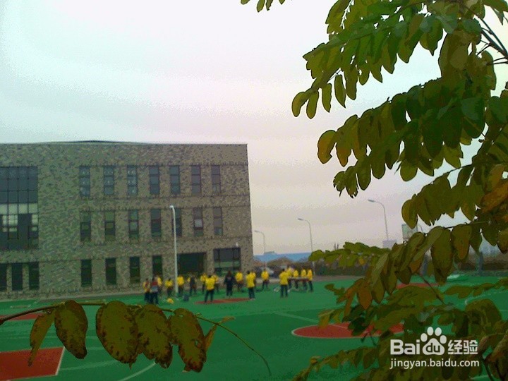 初中学生怎样搞好课外活动