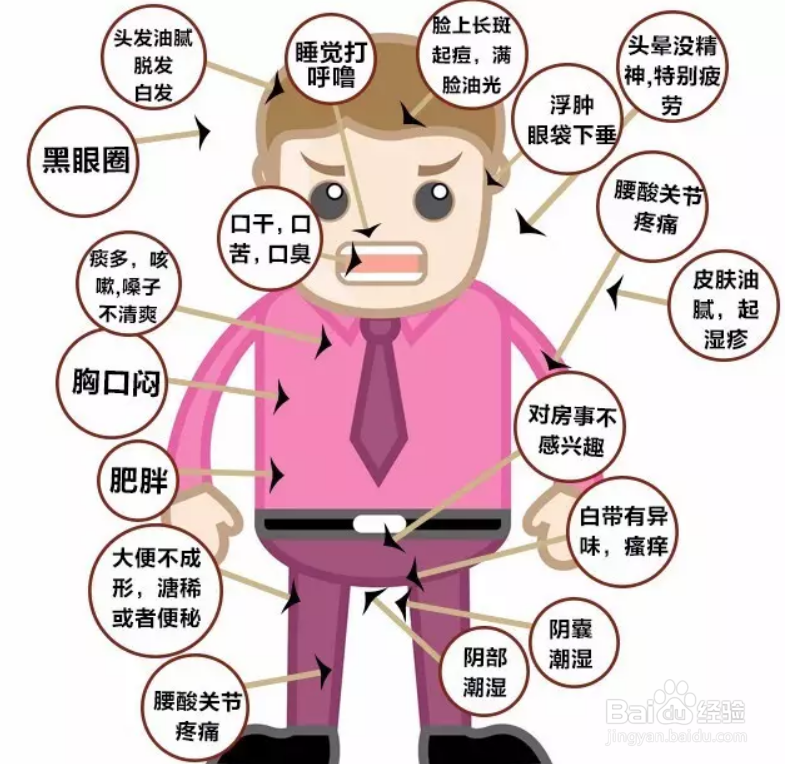 参苓健体粉的基本知识