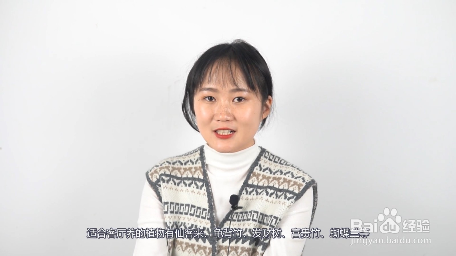 适合客厅养的植物