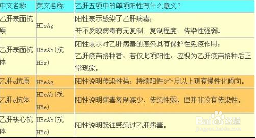 如何快速辨别了解乙肝五项指标