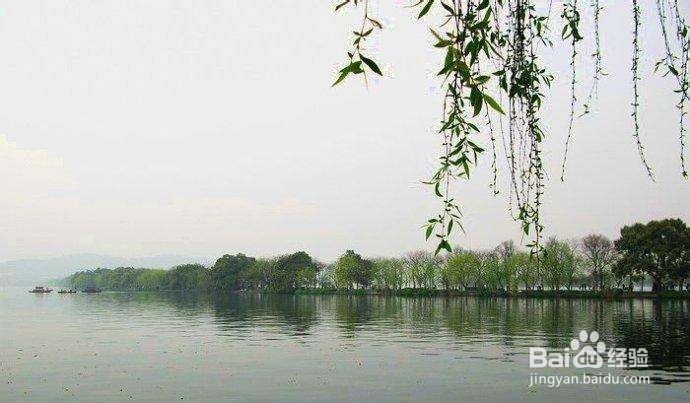 西湖美景有哪些