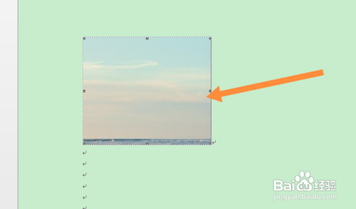 word文档怎么把图片复制出来
