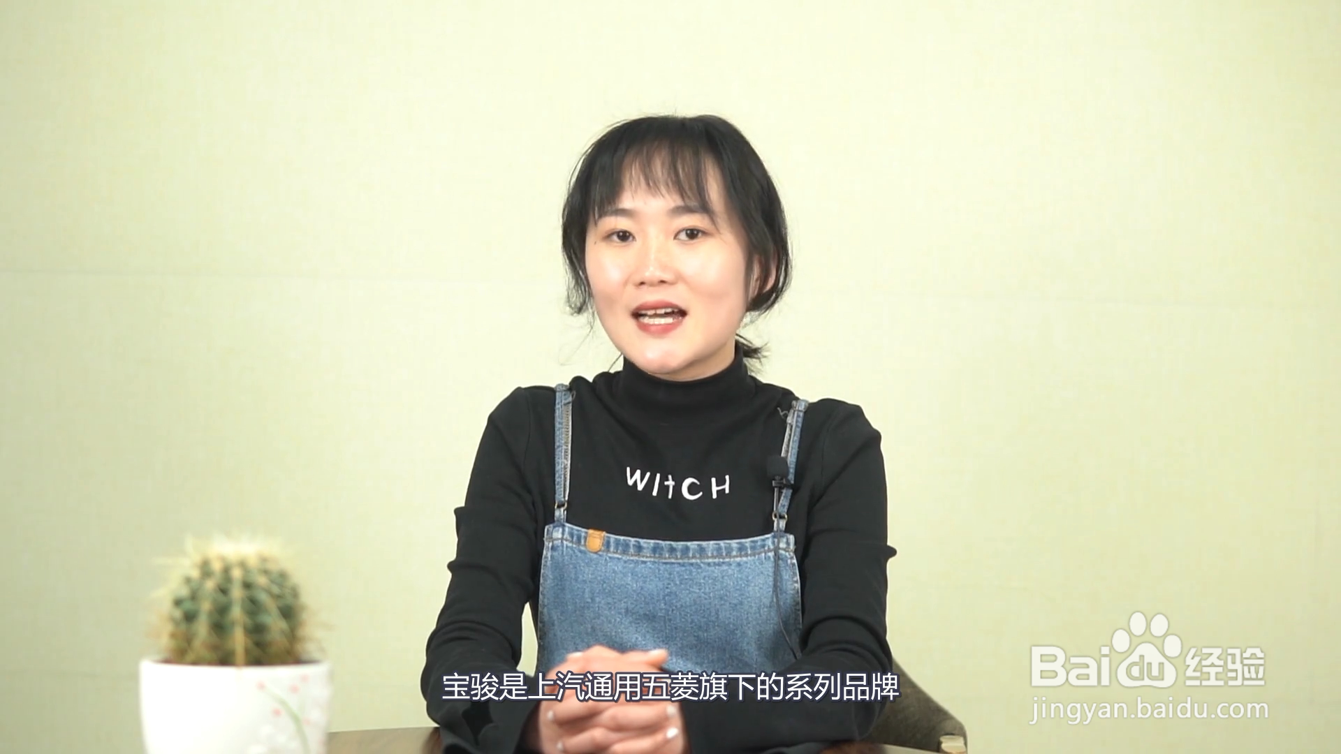 一个马的车标是什么车