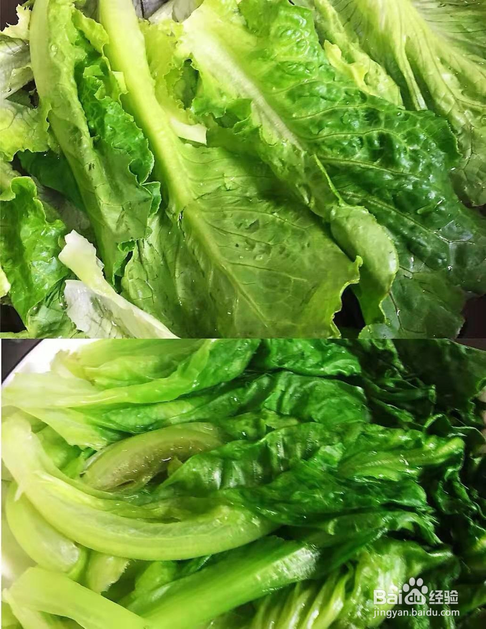 蚝油油麦菜的做法