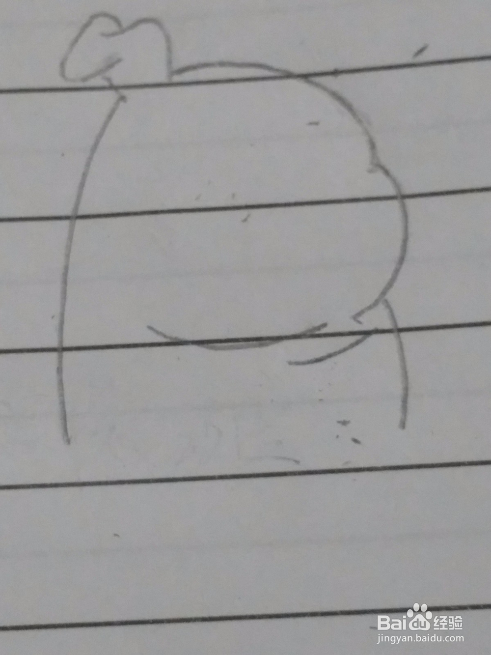 十二生肖 猪 简笔画 详细步骤教程