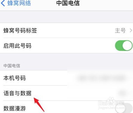 iPhone12如何设置4g网络