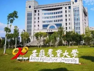 合肥有什么大学