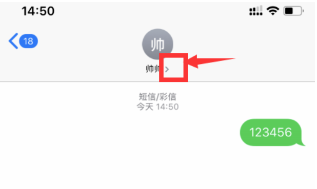 苹果怎么用副卡发短信