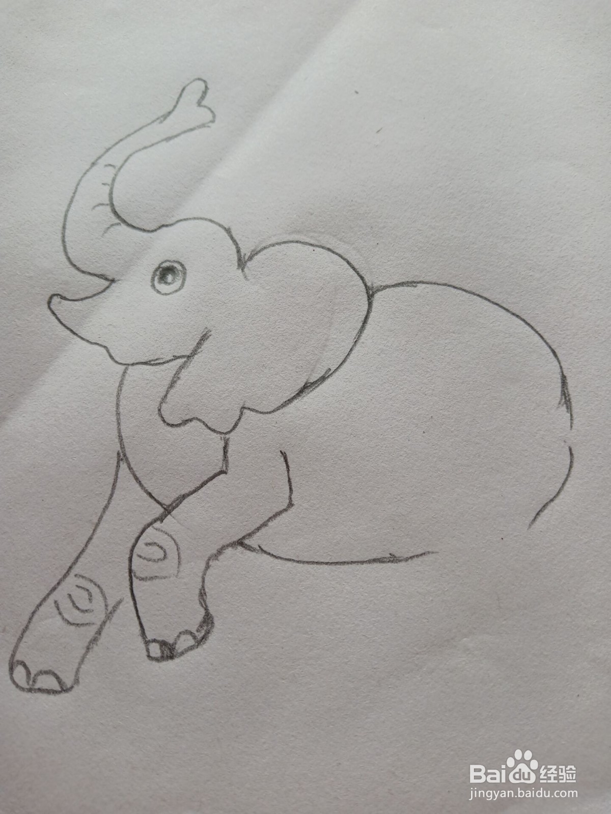 大象的简笔画
