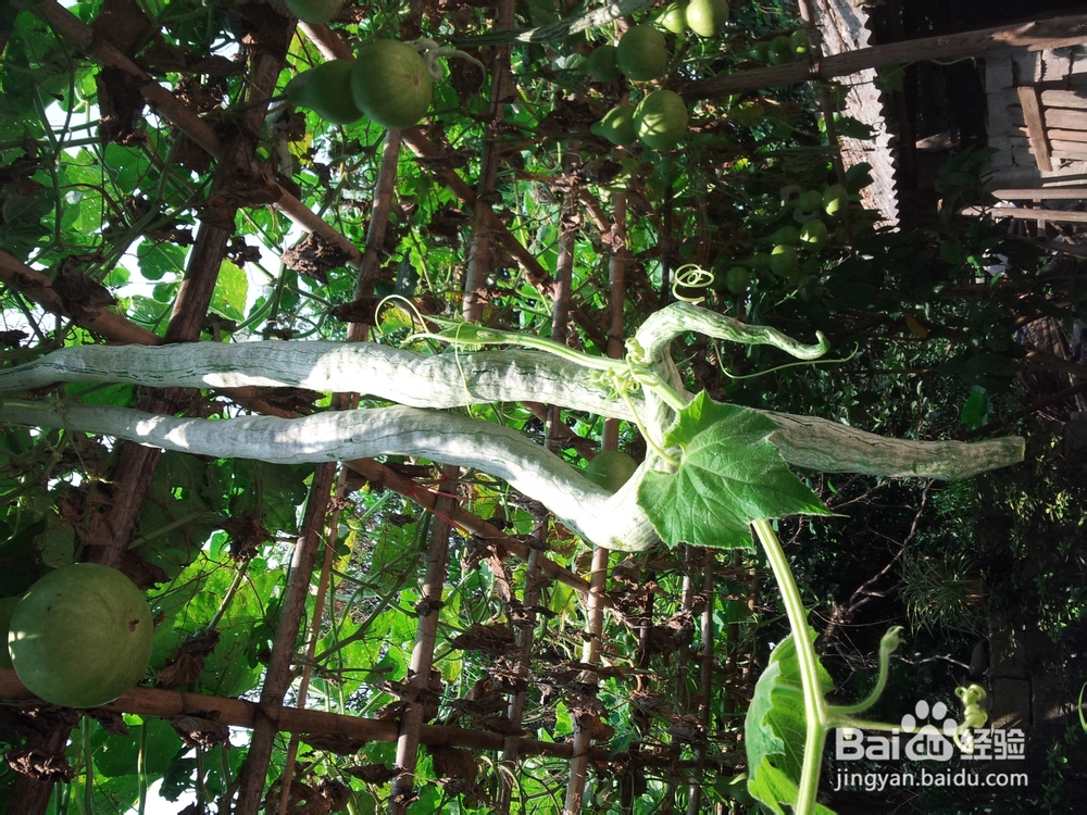 广西柳州三江侗族自治县游记：[2]丹洲古城