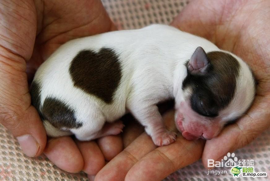 怎么让恋人之间的感情保鲜