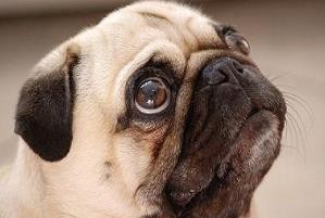 预防中暑的6个冷知识