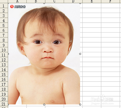 怎么给excel添加超链接