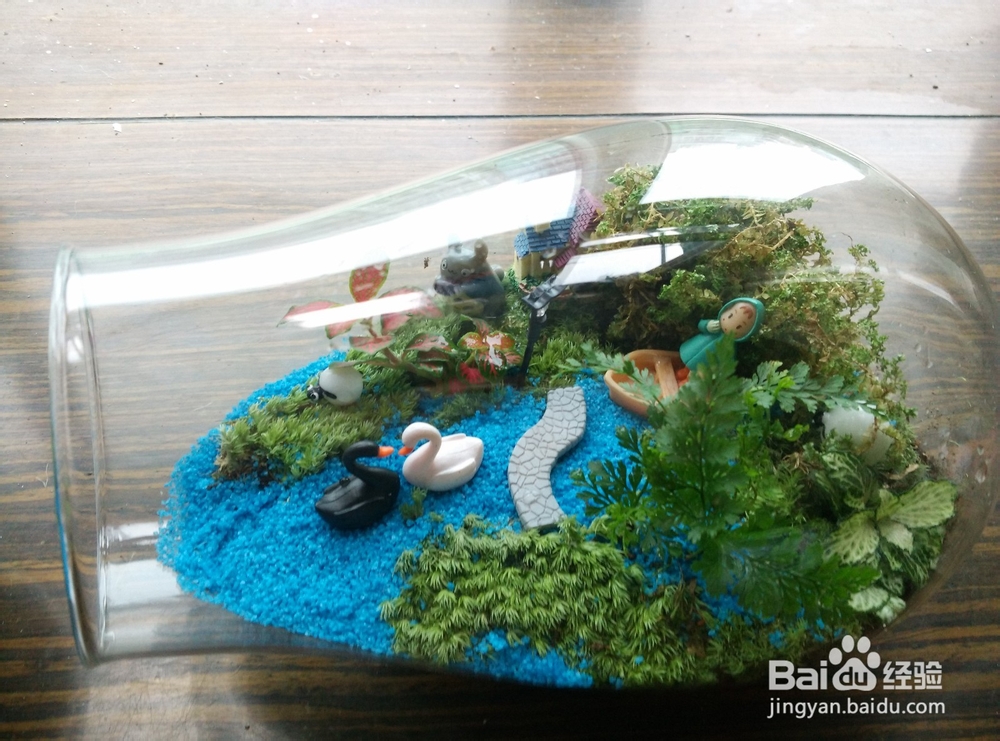 苔藓植物微景观制作步骤