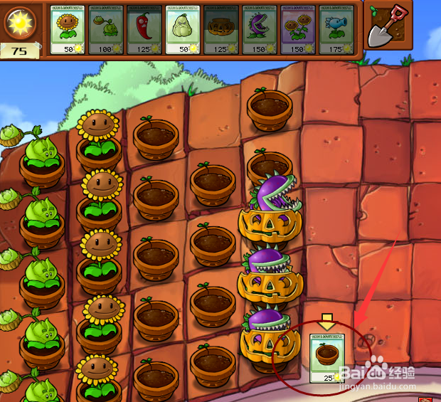 植物大战僵尸屋顶模式攻略