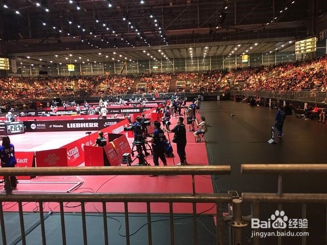 国乒头号劲敌日本小将平野美宇进8强！