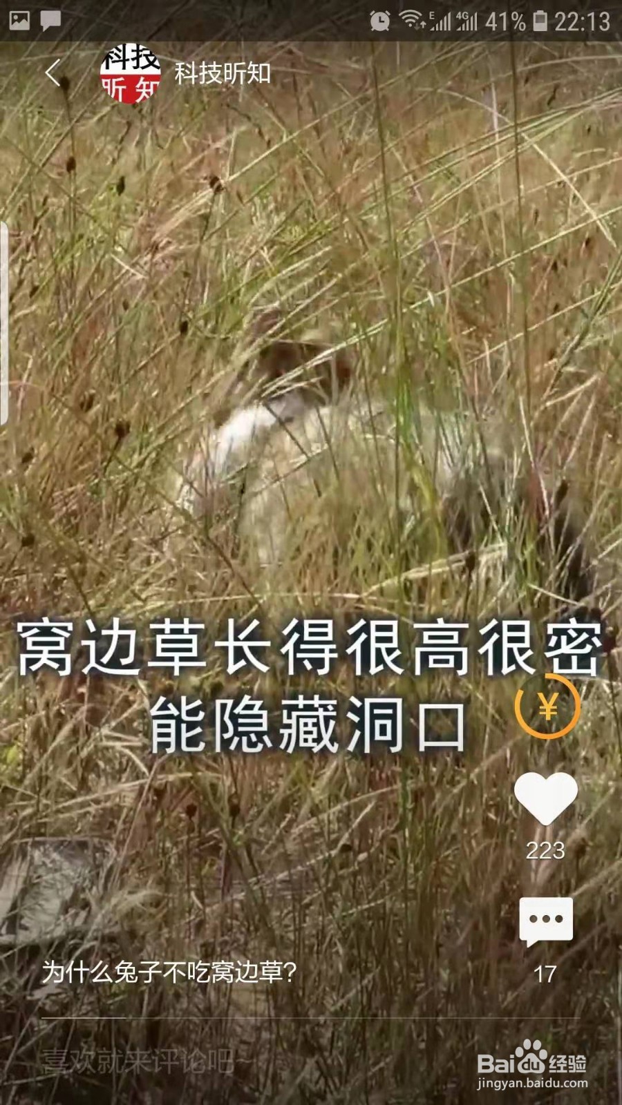 百度知道怎么赚钱和提现