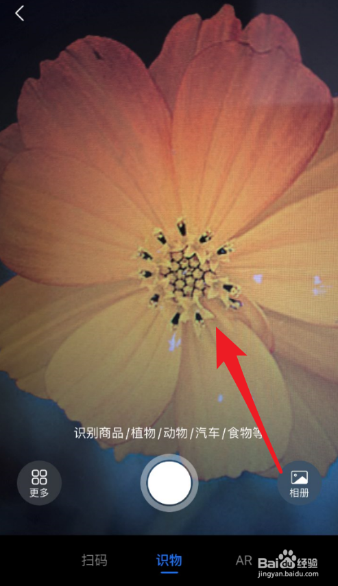 支付宝怎么识别植物