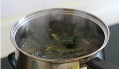 教你如何用枇杷叶治咳嗽