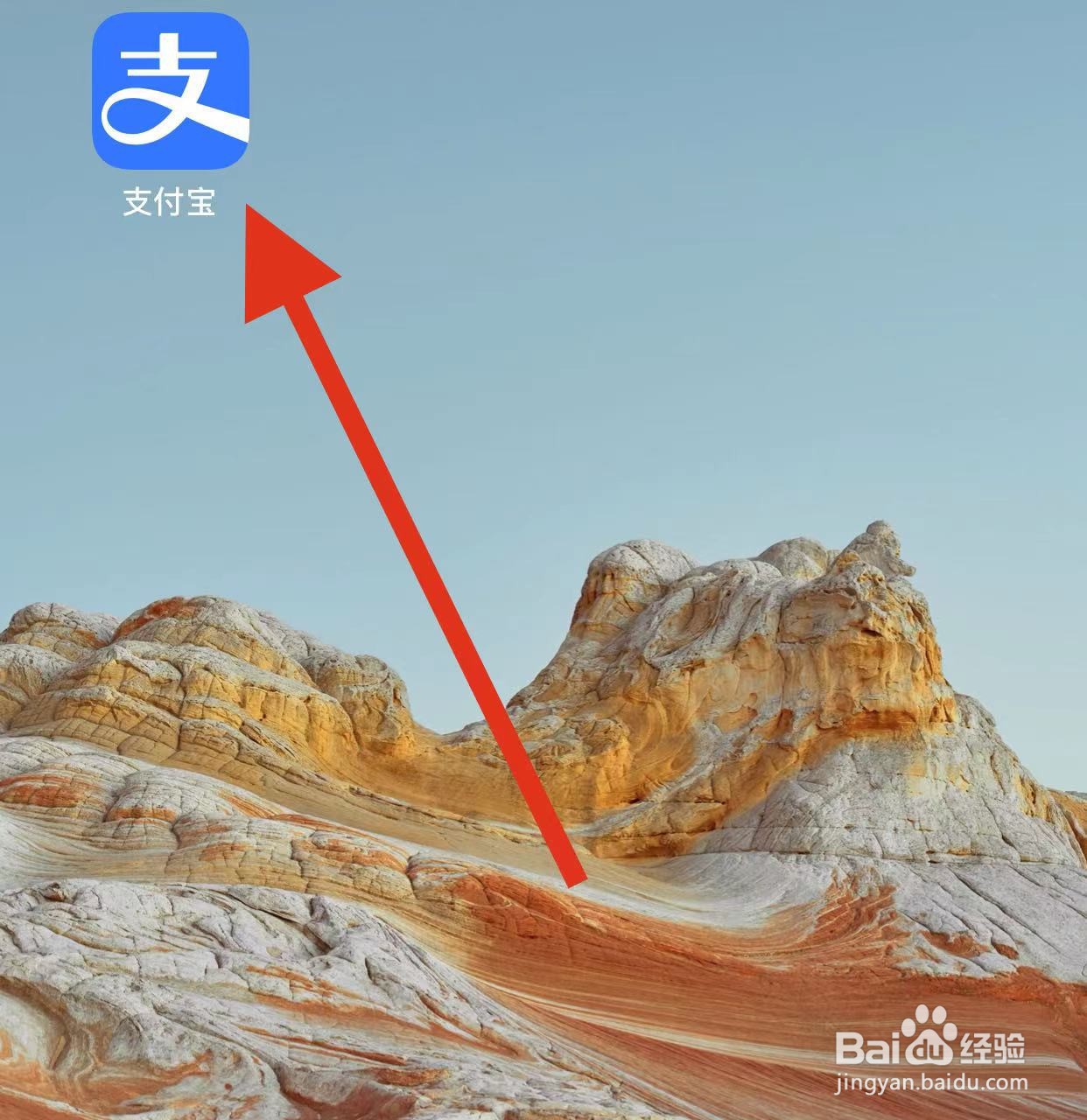 支付宝怎么找到支付宝会员呢
