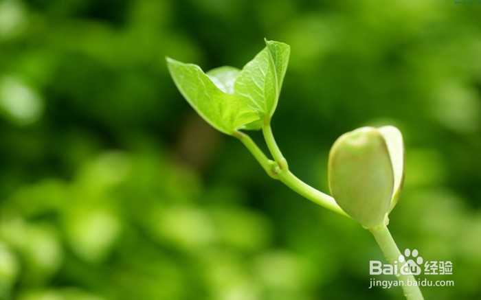 湿疹止痒妙招，宝宝湿疹怎样好得快？