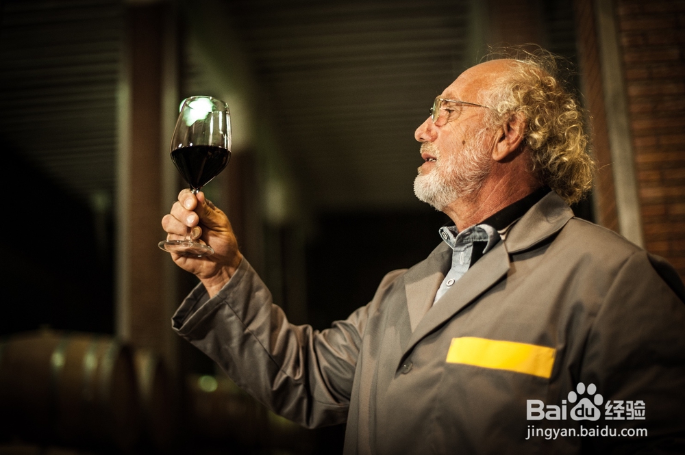 如何選擇優質蓝莓酒？